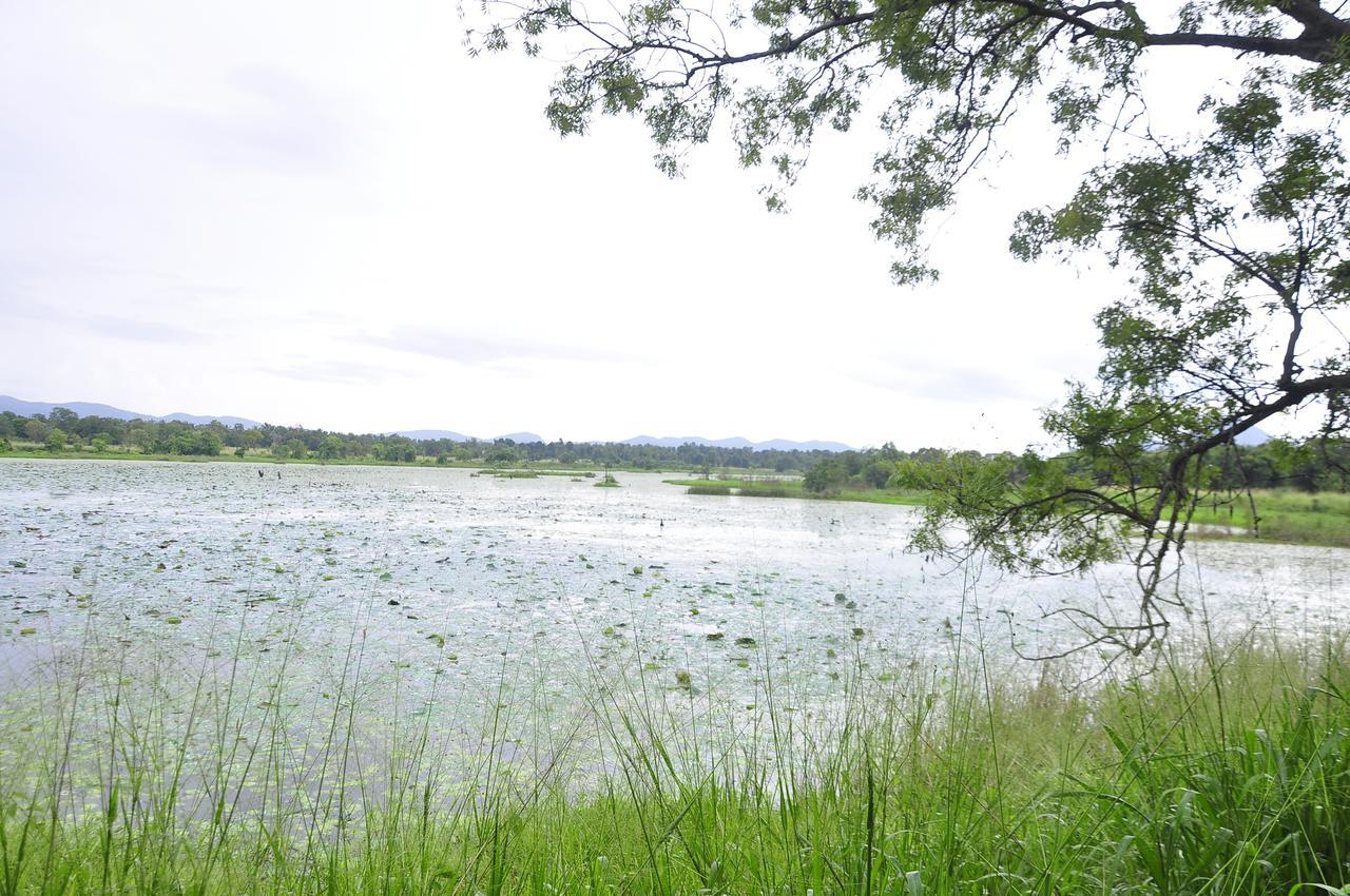 Rock Lake Home Stay Sigirija Zewnętrze zdjęcie